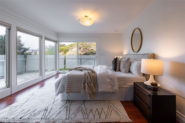 bedroom featuring multiple windows, dark wood-type flooring, and access to exterior