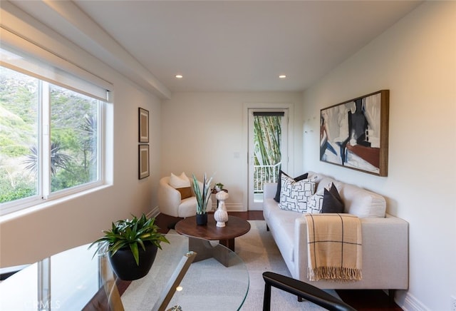 living room with a healthy amount of sunlight