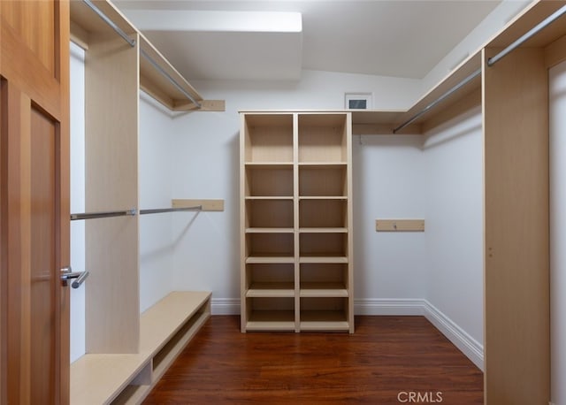 spacious closet featuring dark hardwood / wood-style floors