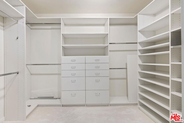 view of spacious closet