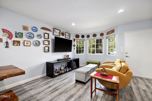 living room with light wood-type flooring