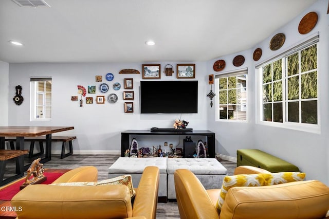 living room with hardwood / wood-style flooring