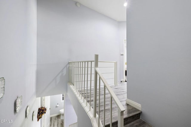 stairs with hardwood / wood-style flooring