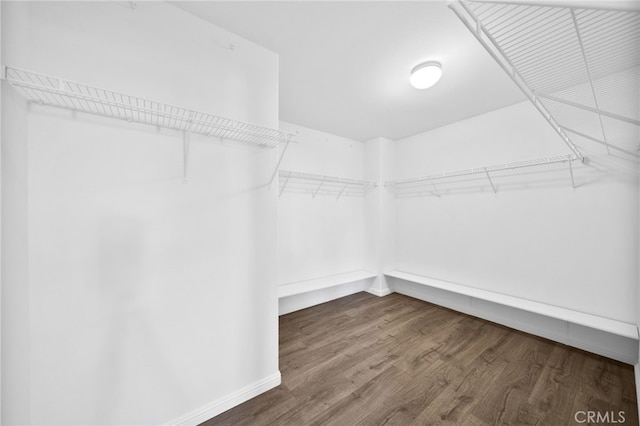 walk in closet featuring hardwood / wood-style floors