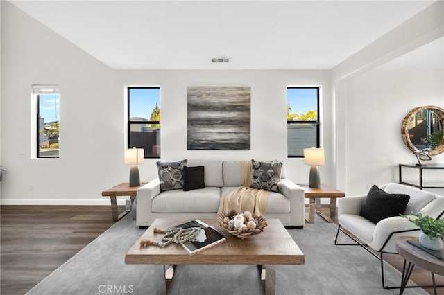 living room with hardwood / wood-style floors and a wealth of natural light