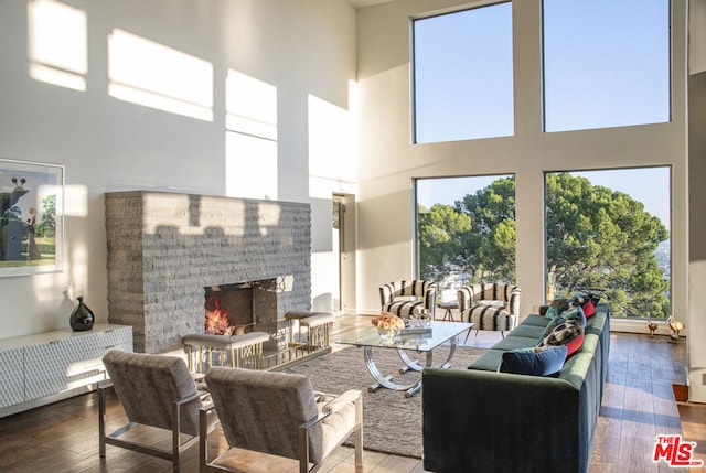 living room with wood-type flooring and a high ceiling