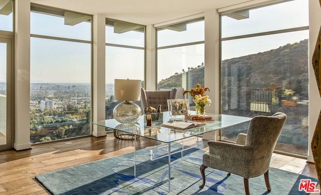 sunroom featuring plenty of natural light