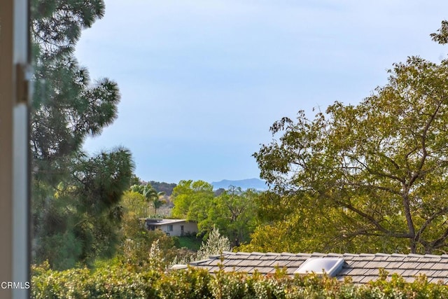 view of yard featuring a mountain view