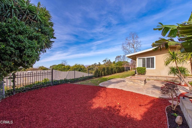 view of yard featuring a patio area