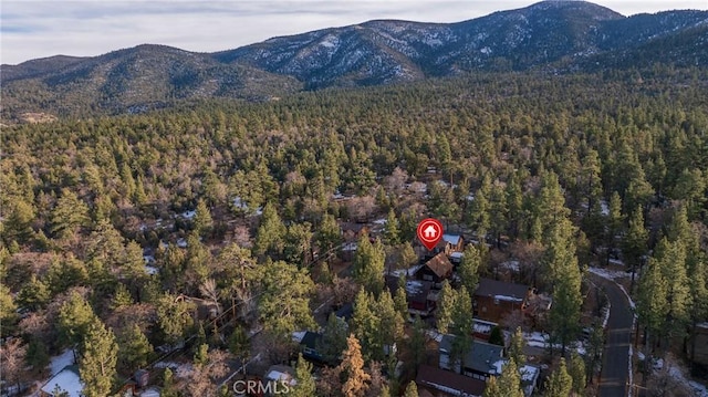 drone / aerial view with a mountain view