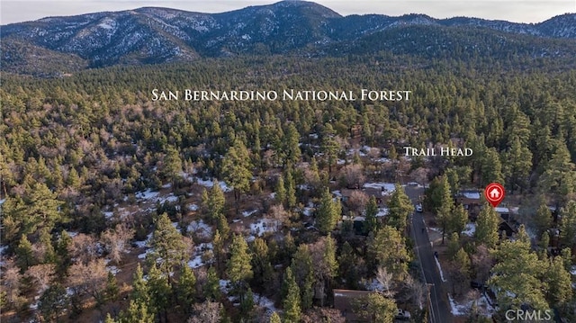 birds eye view of property featuring a mountain view