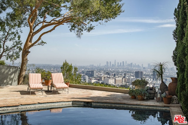 view of pool with a patio area