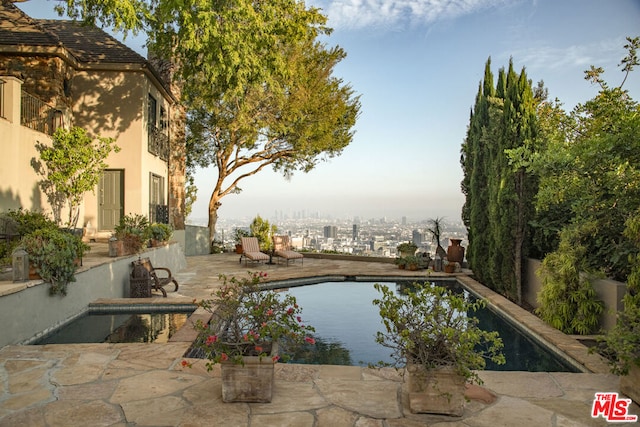 view of swimming pool with a patio