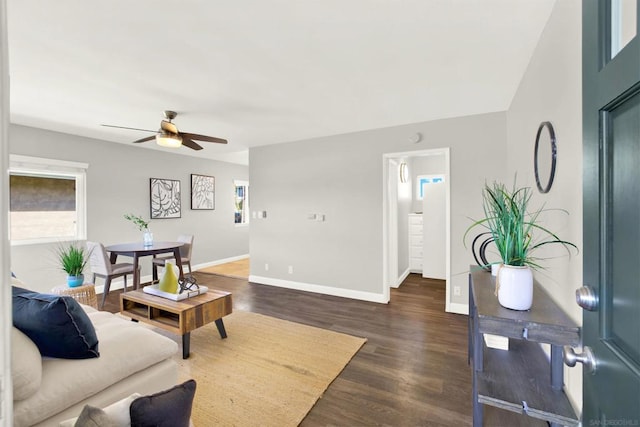 living room featuring ceiling fan, dark wood-type flooring, and plenty of natural light