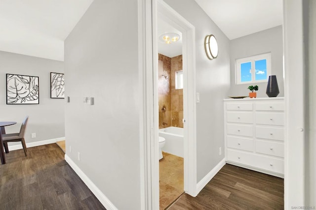 interior space with dark hardwood / wood-style flooring