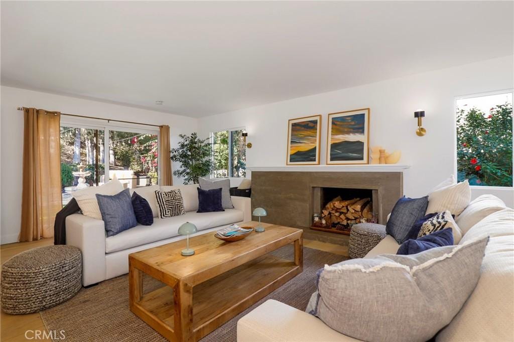 living room featuring hardwood / wood-style floors and a premium fireplace