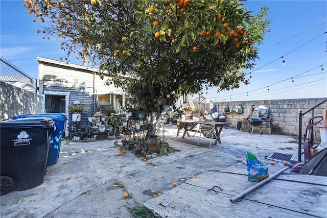 view of yard with a patio