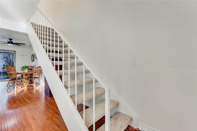 staircase with ceiling fan and wood-type flooring