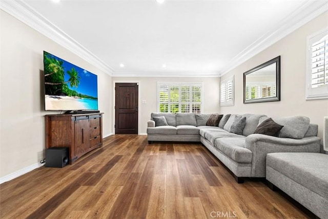 living room with crown molding and dark hardwood / wood-style flooring