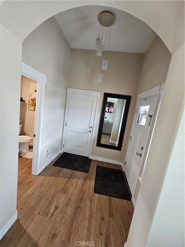 entrance foyer featuring wood-type flooring