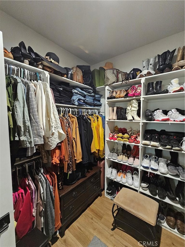 spacious closet featuring wood-type flooring