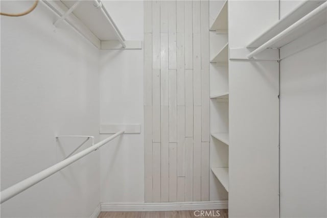 spacious closet with hardwood / wood-style flooring