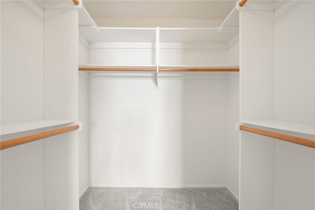 walk in closet with carpet flooring