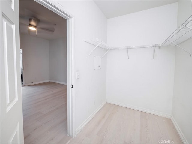 spacious closet with light hardwood / wood-style floors and ceiling fan