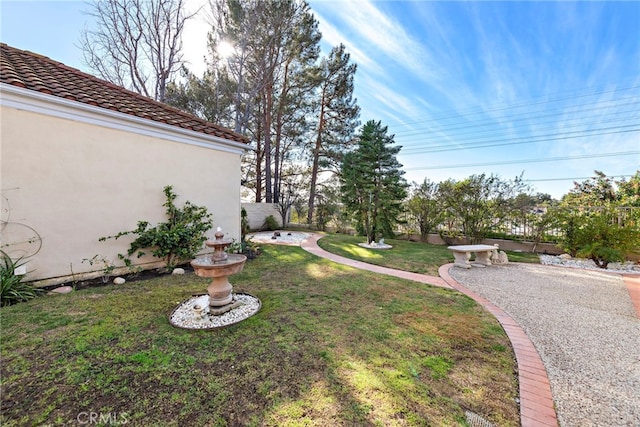 view of yard featuring a patio area