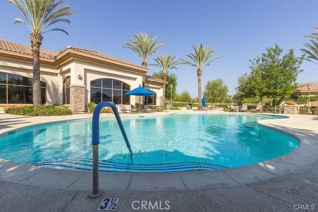 view of pool featuring a patio area