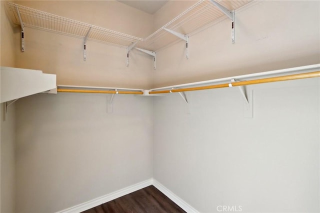 walk in closet featuring dark wood-type flooring