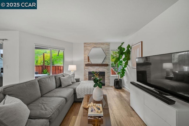 living room with a fireplace and light hardwood / wood-style flooring