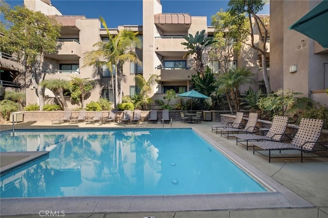 view of pool featuring a patio