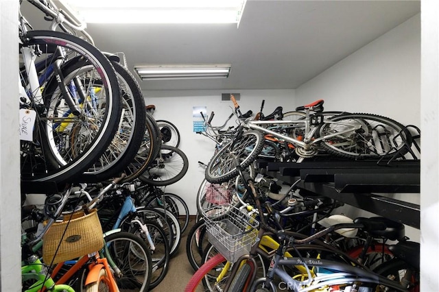 garage featuring bike storage