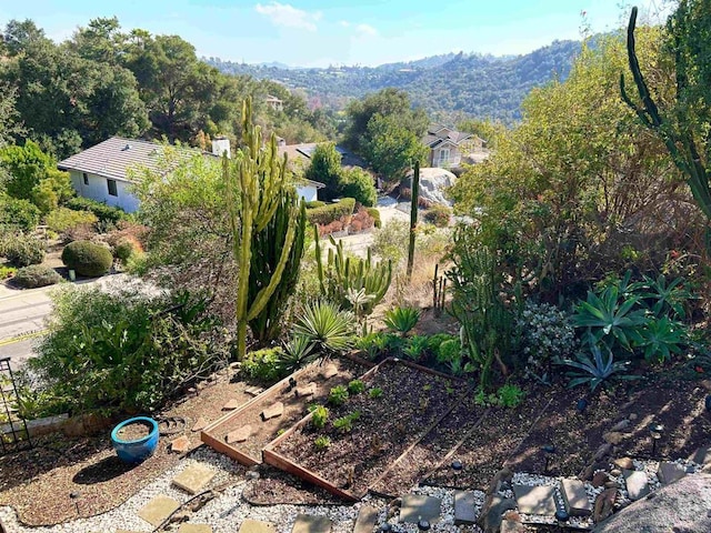 exterior space featuring a mountain view