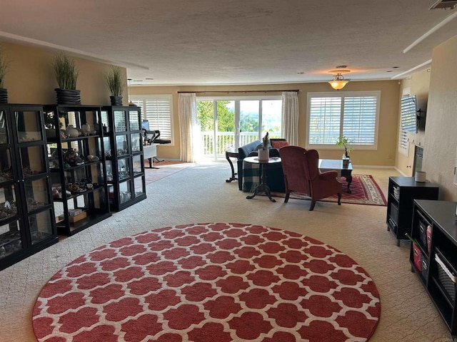 living room featuring light colored carpet