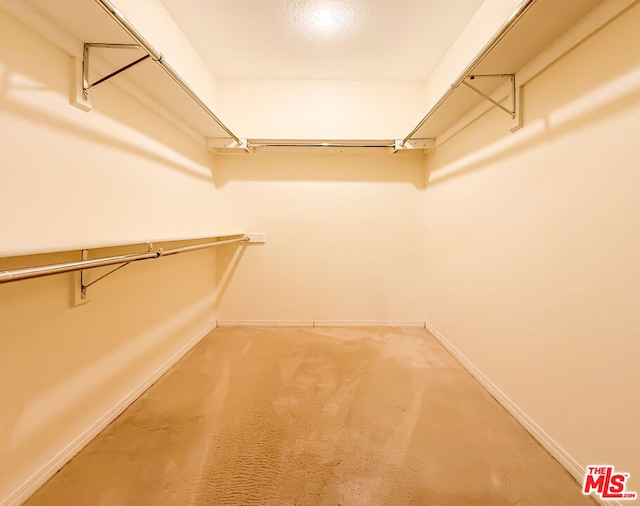 spacious closet featuring carpet floors