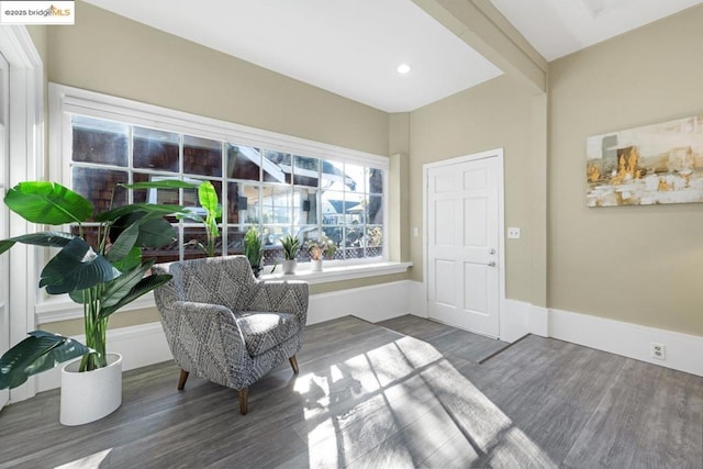 sitting room with dark hardwood / wood-style floors