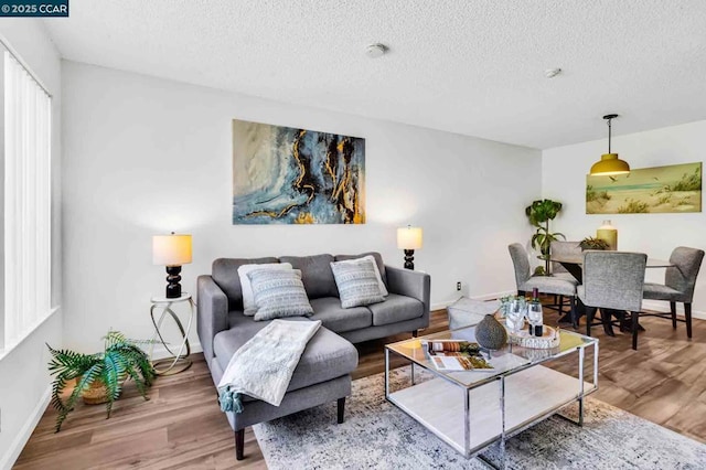 living room featuring wood-type flooring, a textured ceiling, and a wealth of natural light