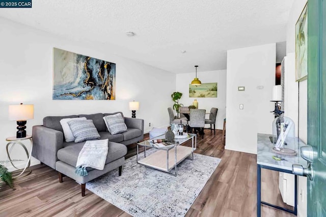 living room featuring a textured ceiling and wood-type flooring