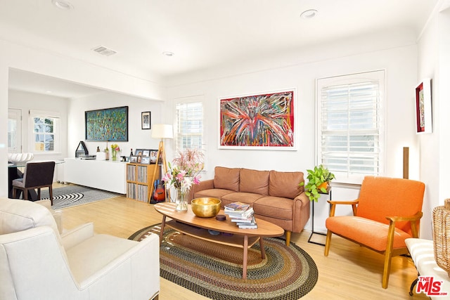 living room featuring wood-type flooring