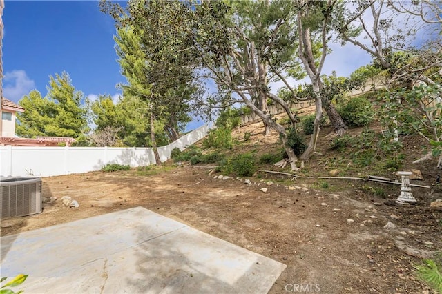 view of yard featuring a patio area and cooling unit