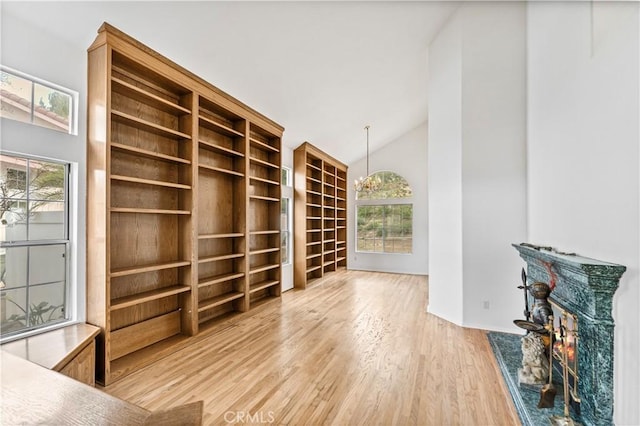 interior space with hardwood / wood-style flooring, plenty of natural light, and high vaulted ceiling