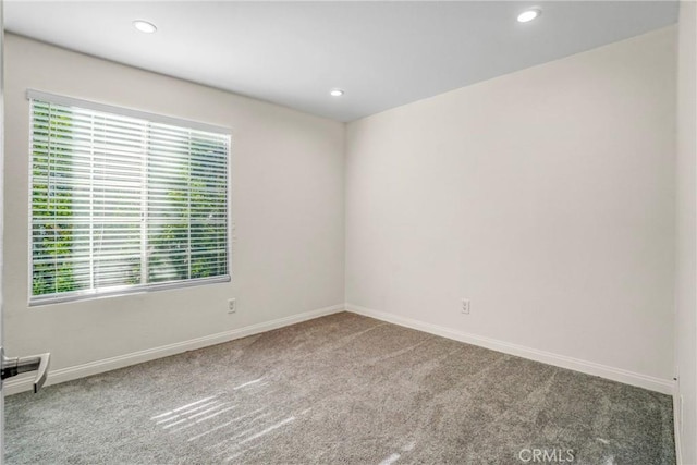 spare room with carpet and a wealth of natural light