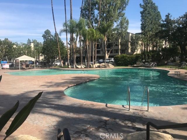 view of pool featuring a patio