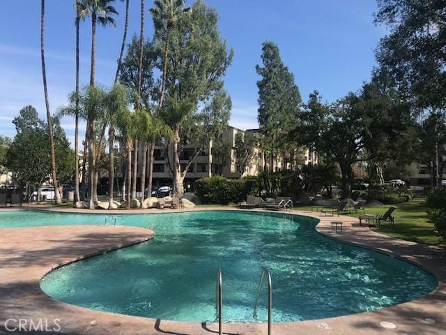 view of swimming pool with a patio