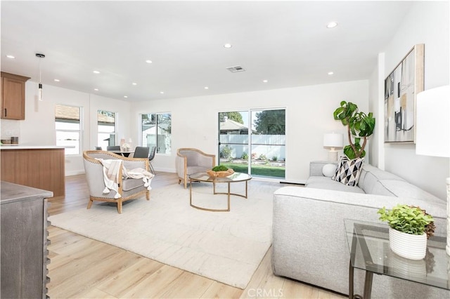 living room featuring light wood-type flooring