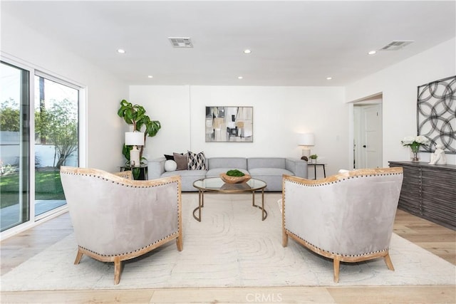 living room featuring light hardwood / wood-style floors