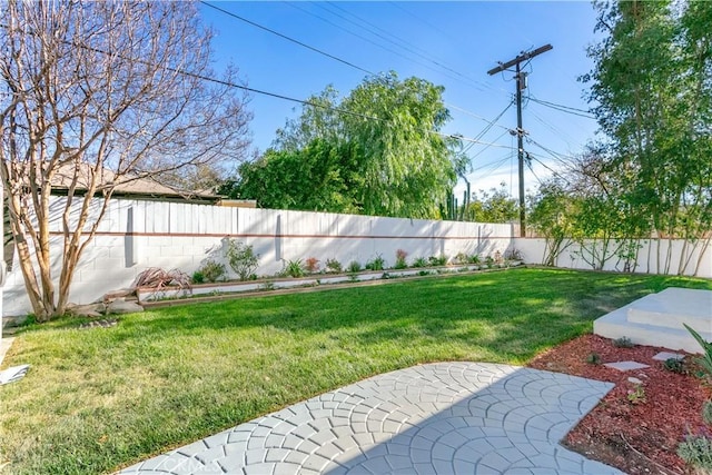 view of yard featuring a patio