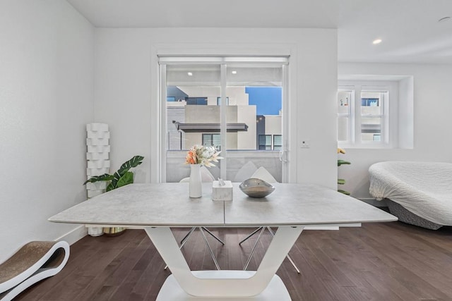 dining space featuring wood-type flooring